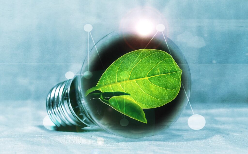 lightbulb, leaf, chlorophyll, green, leaf green, light, pear, flashes, energy, nature, energy transition, energy generation, bulbs, experiment, innovation, environmentally friendly, electricity, environment, electric light, energy saving